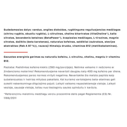 VAST V8 Fuel Energy 500 ml